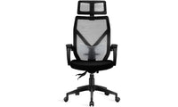 Dripex Ergonomic Office Chair